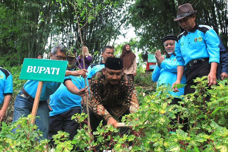 Usai Tanam 4 Juta Pohon, LDII Dirikan Arboretum di Lereng Utara Gunung Lawu