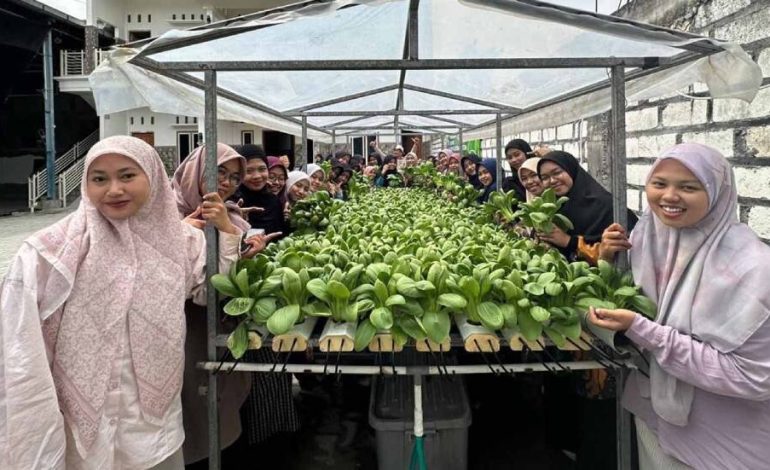 Dukung Program Pemerintah, Wanita LDII Lamongan Kembangkan Budidaya Hidroponik