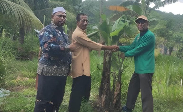 LDII Sumbawa Barat Dorong Budidaya Pisang Cavendish Berbasis Pupuk Organik Mandiri