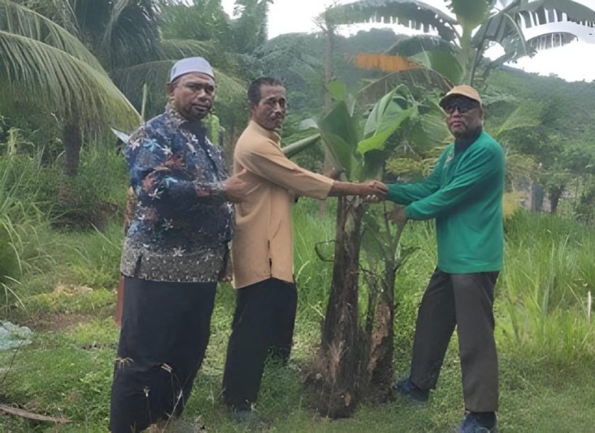 LDII Sumbawa Barat Dorong Budidaya Pisang Cavendish Berbasis Pupuk Organik Mandiri