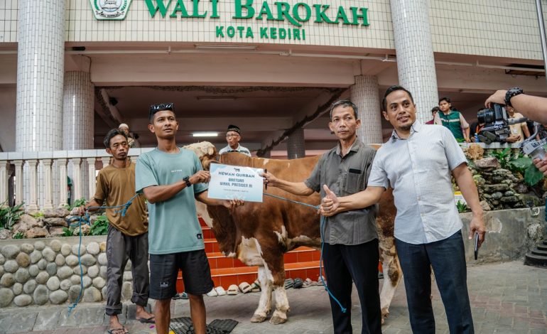 Sambut Idul Adha 1447H, LDII Kota Kediri Apresiasi Bantuan Sapi Kurban Wapres Gibran ke Ponpes Wali Barokah